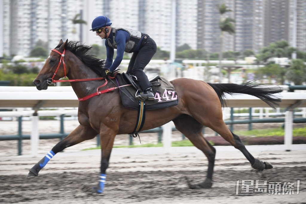 「八仟財陞」步伐穩健有力，論態極之對辦。