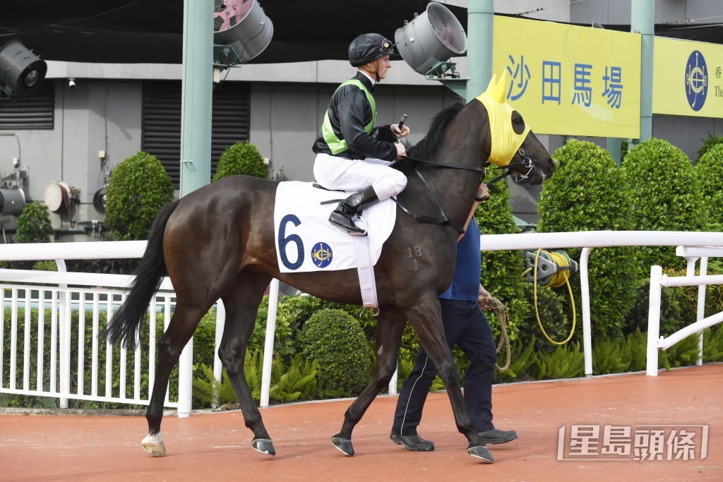 「古惑大師」上仗在同程首次上名。