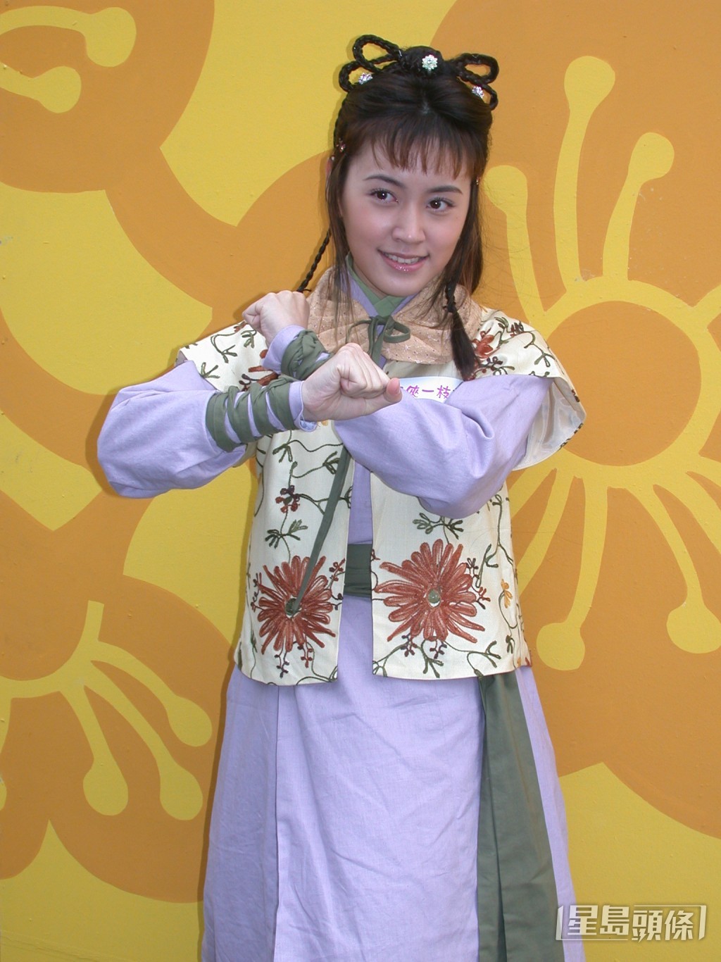 蔣雅文曾拍攝2004年劇集《怪俠一枝梅》。