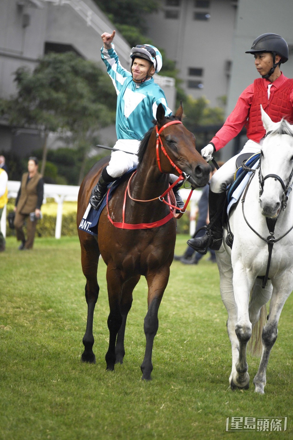 「浪漫勇士」如果周日順利贏馬，便很大機會再次遠征角逐沙特盃，挑戰「青春永駐」。