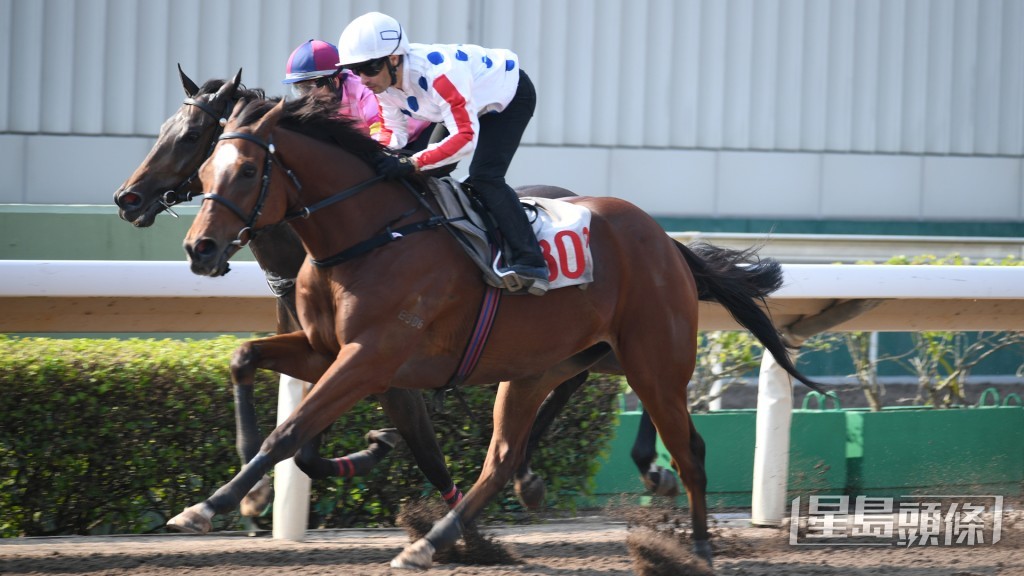 「常拼常勇」今次改爭谷草千八米，理應適合發揮，有望走入前列歸來。