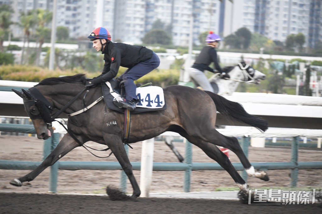 「凝妙星」目光銳利火氣又好，神態軒昂最弗一次。
