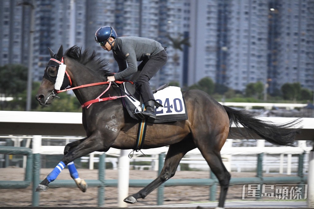 「凱旋王者」神態活躍火氣旺盛，正值勇境。