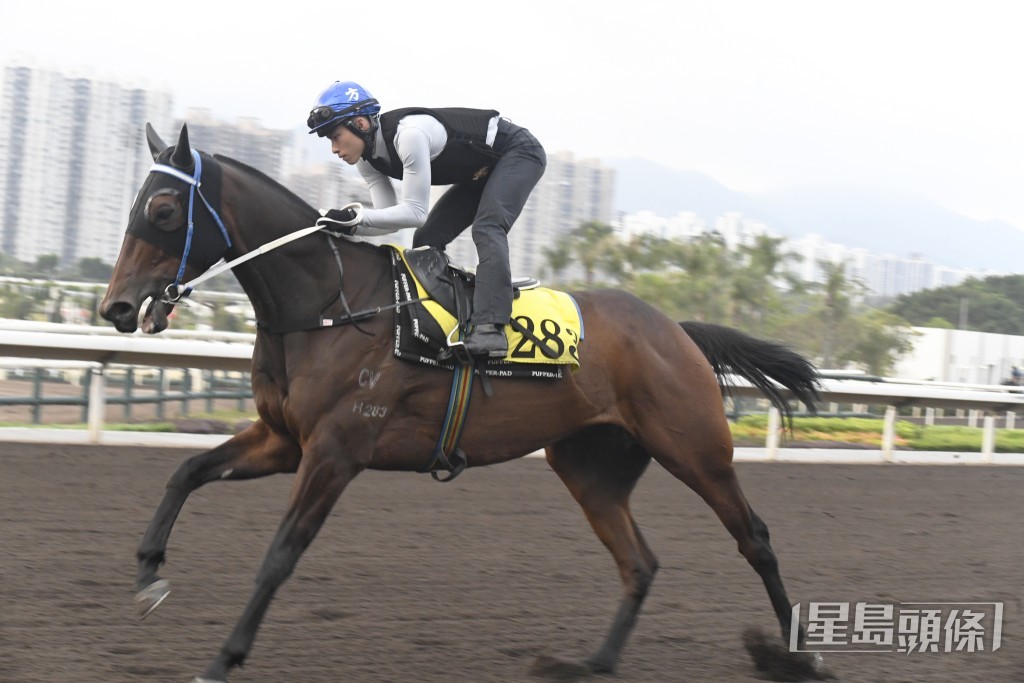 今朝艾兆礼特意到烽火台地下揾文家良商讨「起舞奜奜」出击大计。