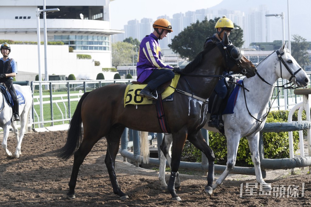 「长发」将在周五转入郑厩初出，郑俊伟一早卜定潘顿出战。