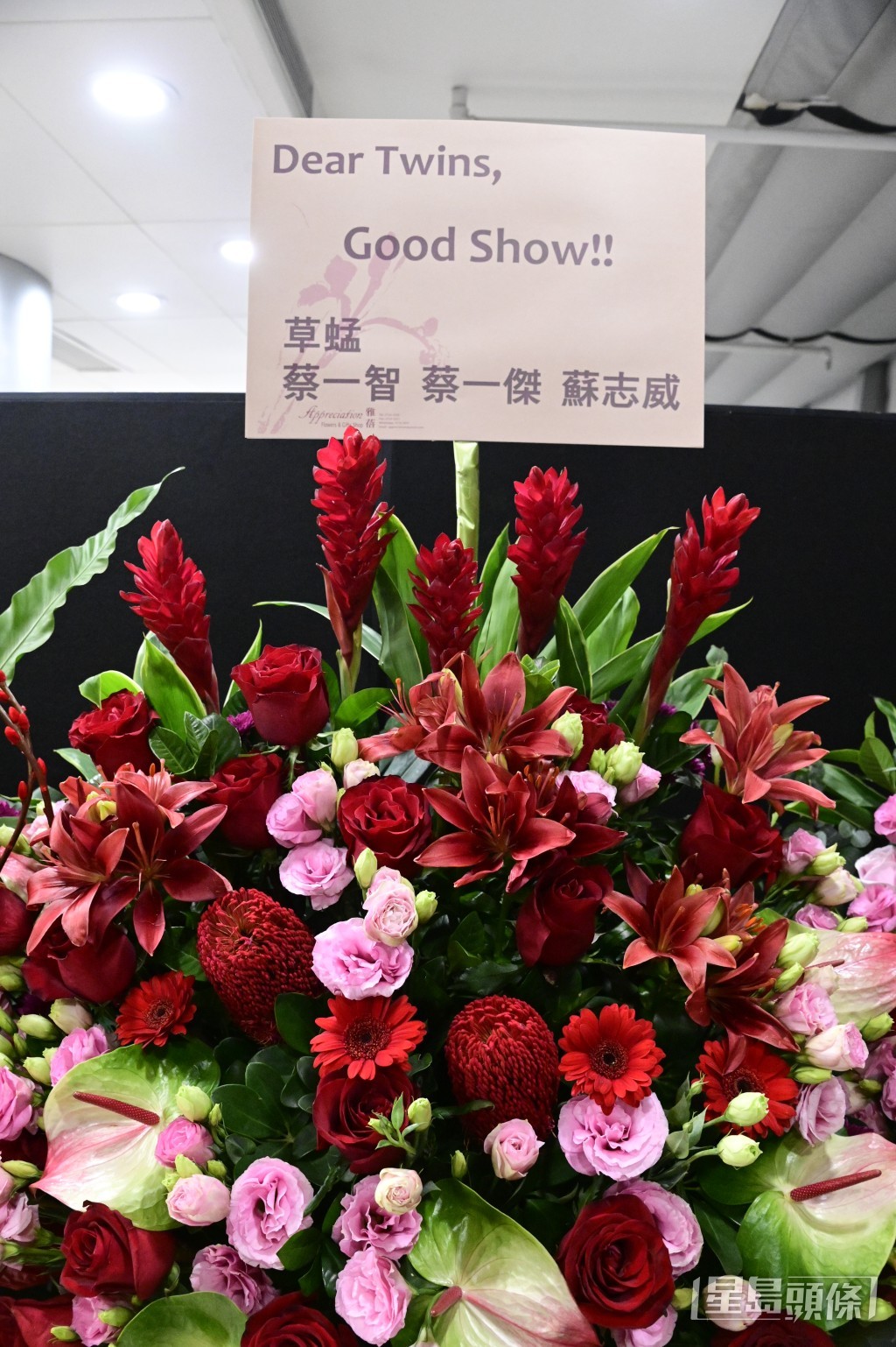草蜢