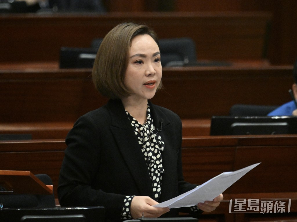 新民黨陳家珮。資料圖片