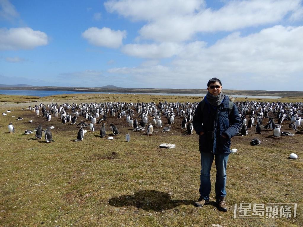 梁于南极考察时，在福克兰群岛遇见皇帝企鹅群落。