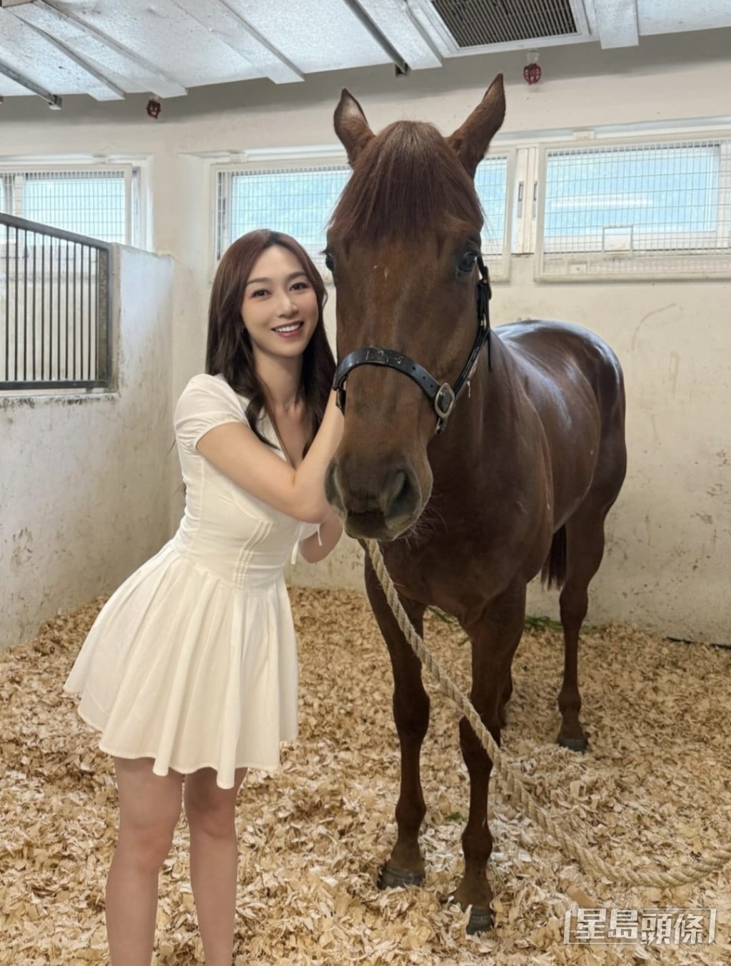 馬主黃嘉雯 馬主黃嘉雯