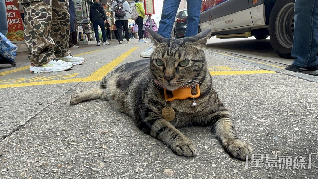 阻B安全回家。楊偉亨攝