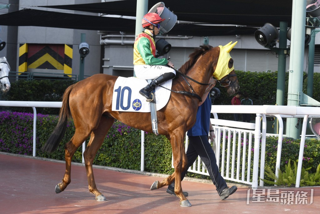 「劲勇皇驹」今仗初配艾兆礼，或可带来惊喜。