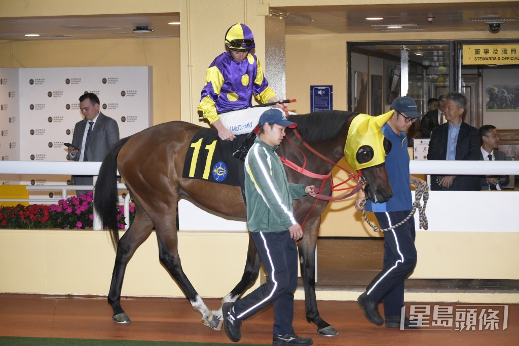 「魅力星」明日匆匆再出，競逐第二場五班一千米。