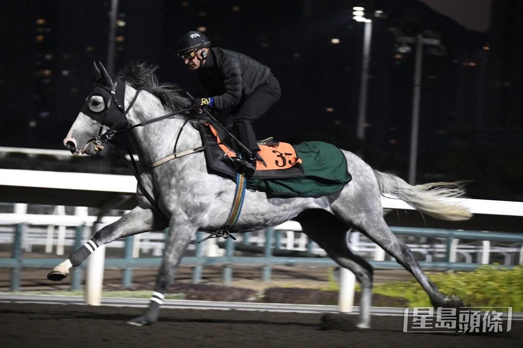 「威利金箭」擔高頭走好神氣，出腳爽朗又有彈力。