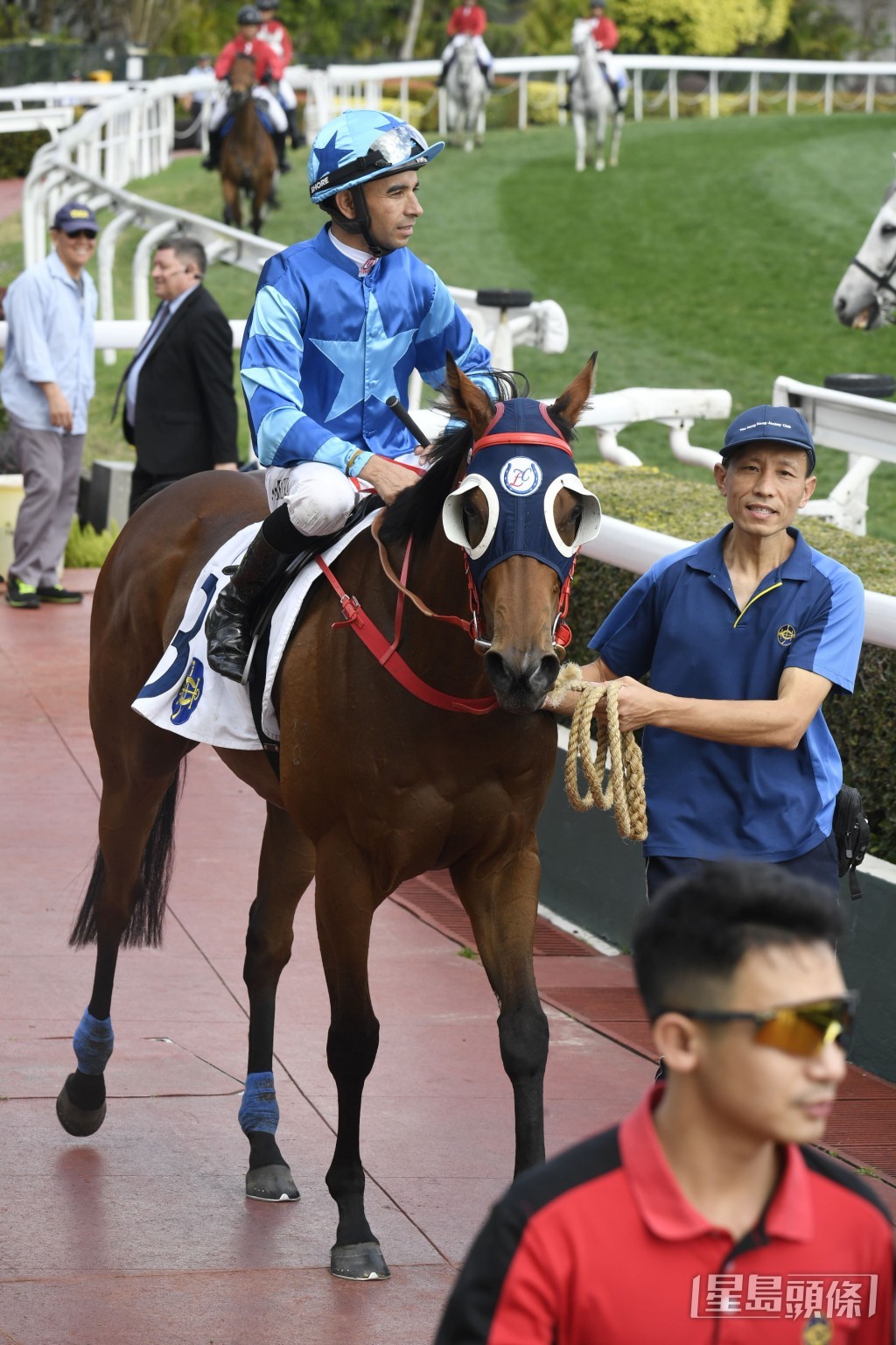 「八仟財陛」今仗由莫雷拉壓陣，全力爭取今季第二場頭馬。