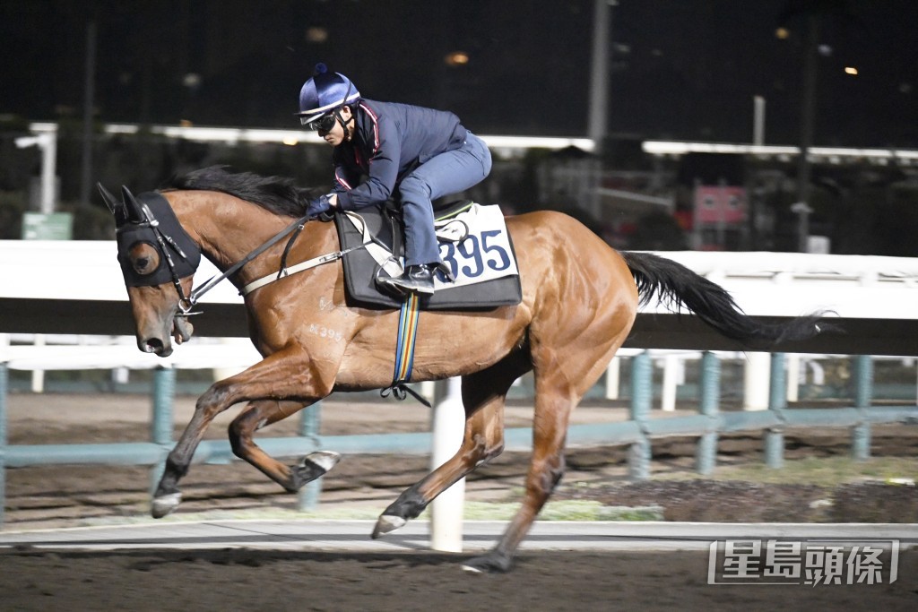 「中國心」慢速完成從容不迫，勇態保持有餘。