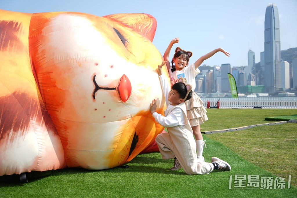 三隻巨型貓咪造型的互動藝術裝置《夢遊喵境》。