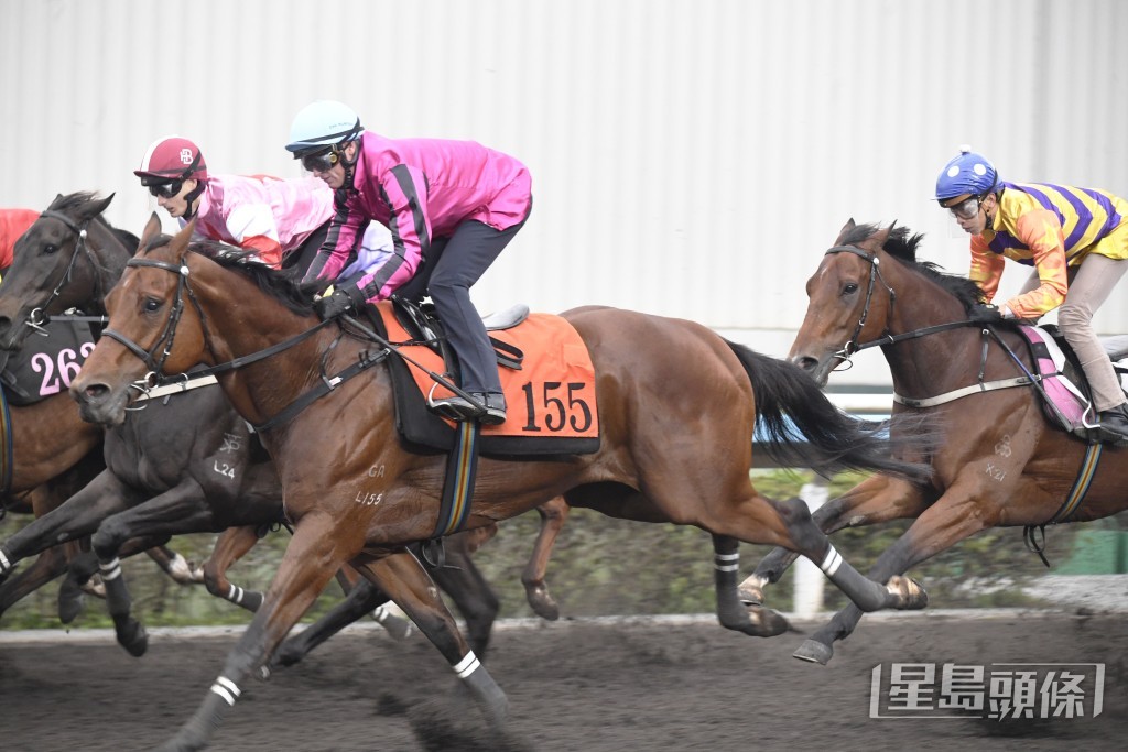 「國千金」要緊扣韁繩，神態軒昂展現朝氣。