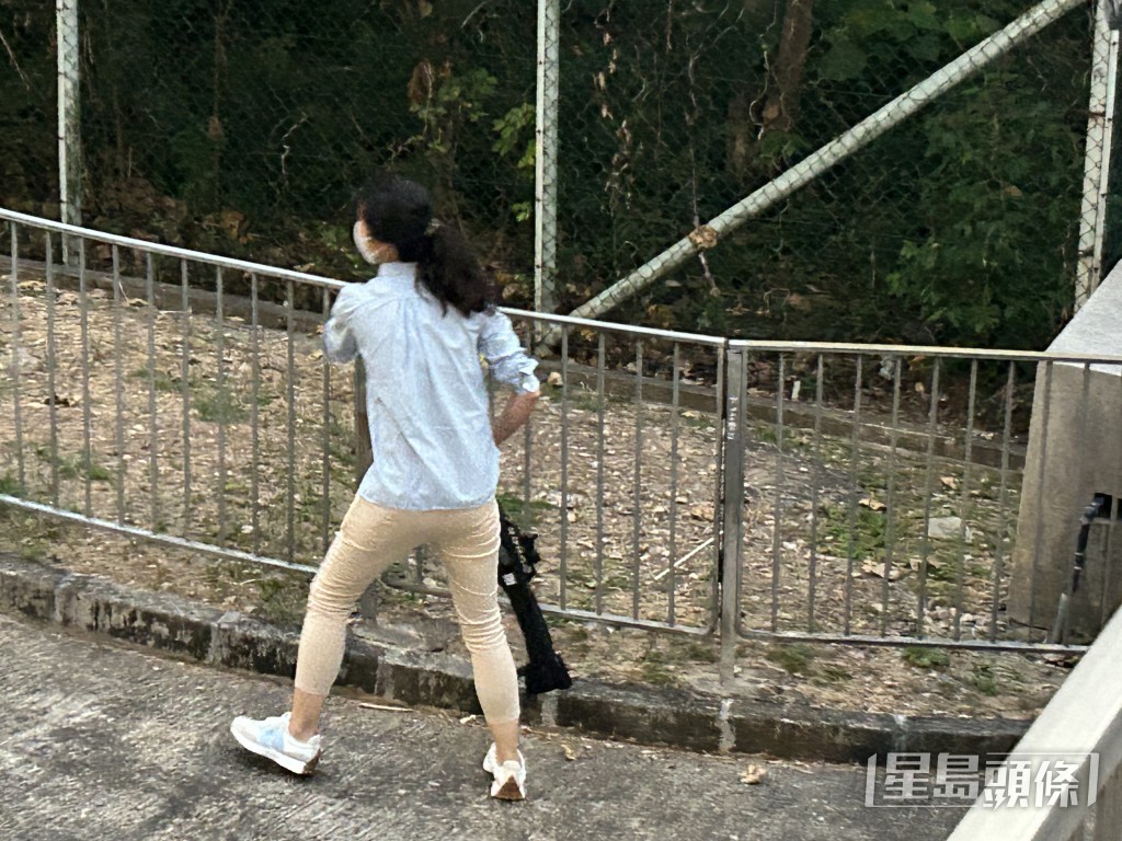 持麻醉槍獸醫搜索野豬蹤影。曾志恆攝