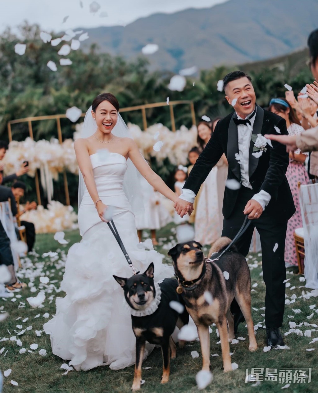 愛犬更現身於婚禮上。