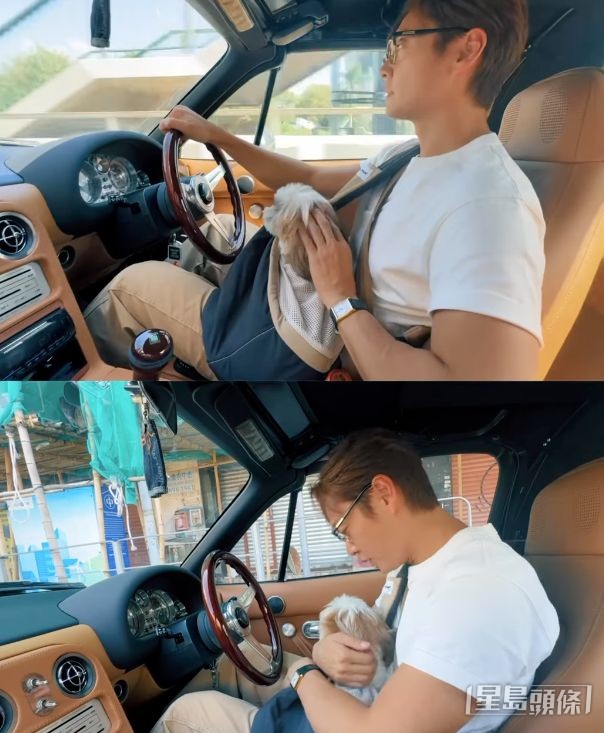 邊揸車邊撫摸「靚女」。