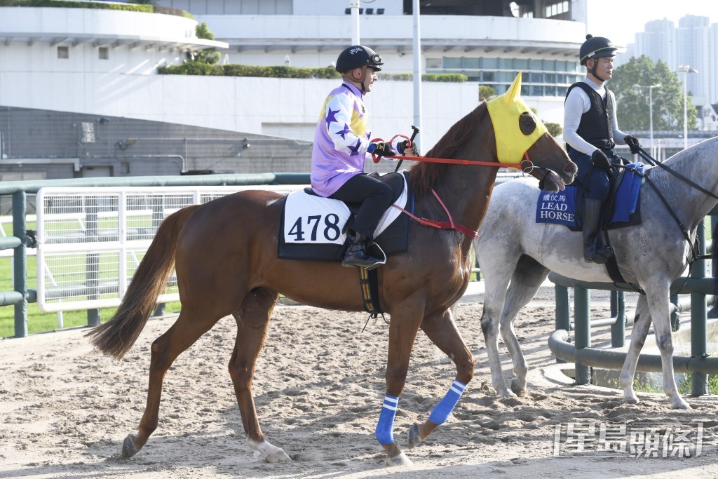  「紫荆盛势」上仗增程至田草千二米杀入一席冷位。