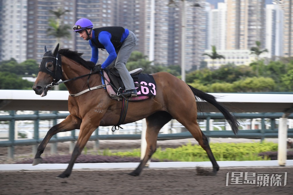 「遙遙領先」馬身好靚好實淨，運步輕爽力度更增，狀態不斷提升。