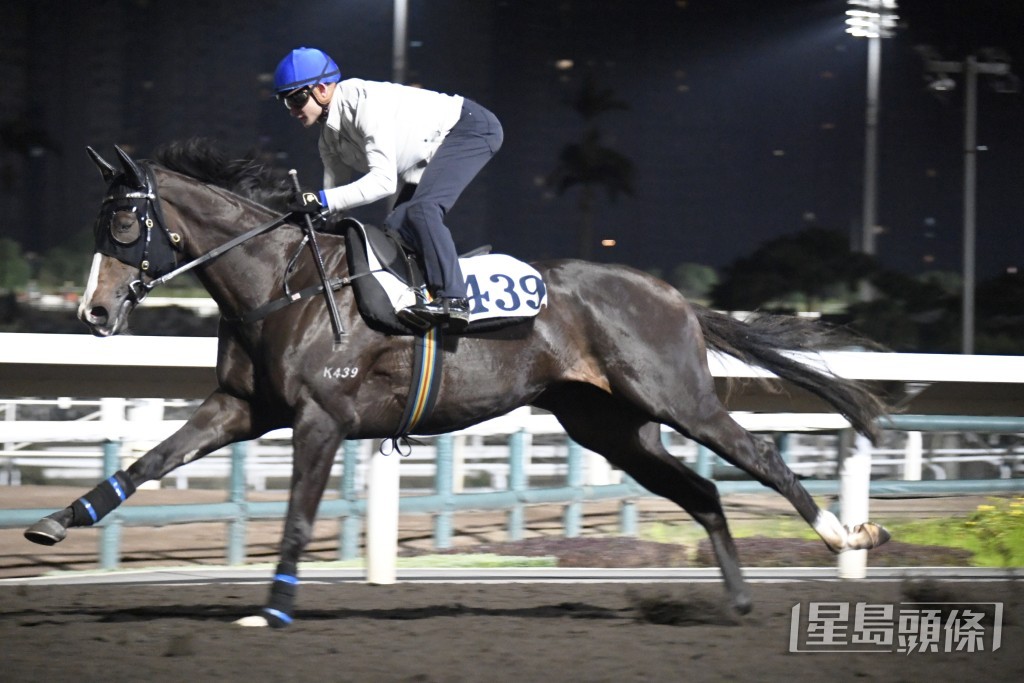 今朝「榮耀掌星」由霍宏聲出跳，期間廖康銘全程跟出跟入。