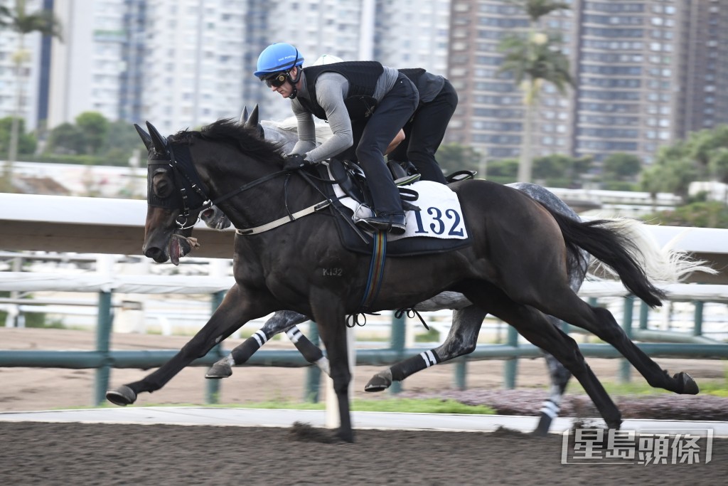 「團結戰靈」跑姿順暢落腳輕巧，馬身愈收愈靚。