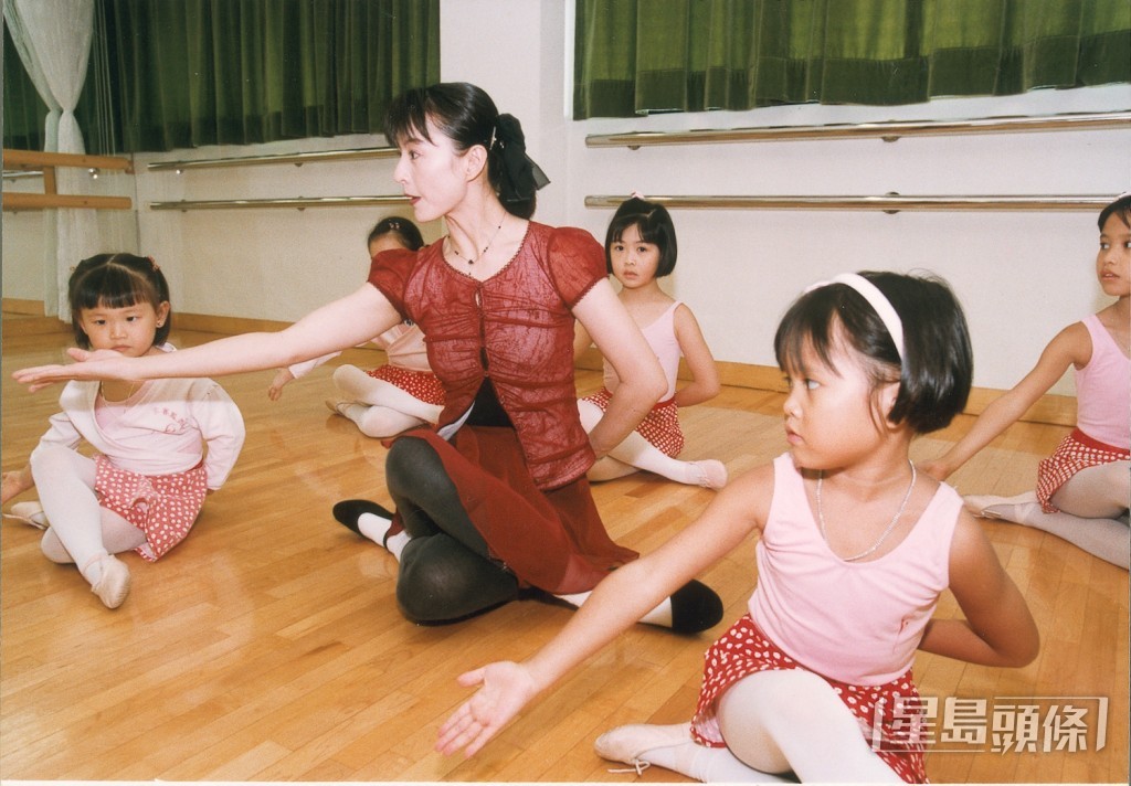 李賽鳳在1993年至2010年創立「李賽鳳舞藝坊」，推廣舞蹈藝術。