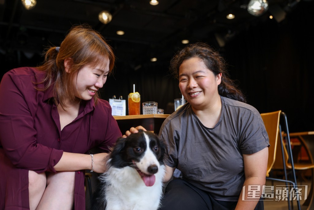 首批約900間獲准食肆,今日(9日)起可容許顧客攜帶狗隻進入。 首批約900間獲准食肆,今日(9日)起可容許顧客攜帶狗隻進入。