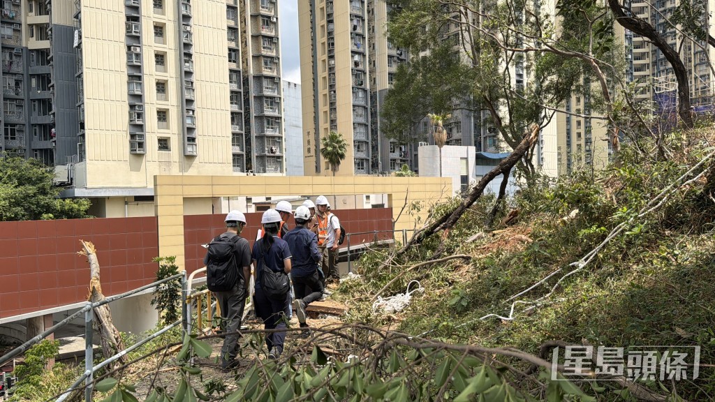 房署職員到山坡勘察環境。 房署職員到山坡勘察環境。