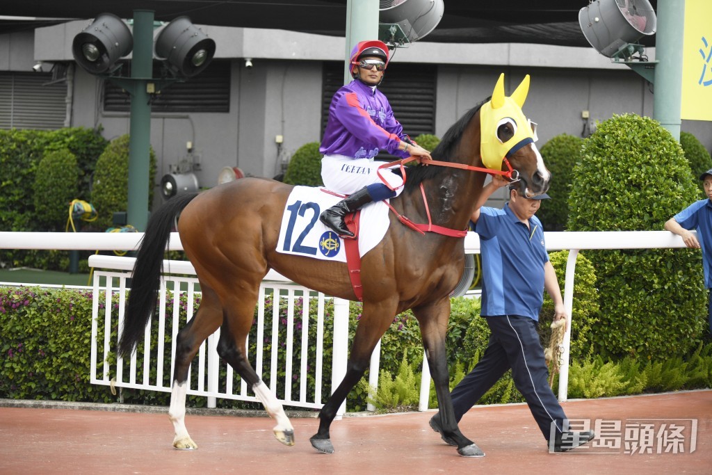 「胜在当下」上仗即使未能上名，但前中段走势不差。