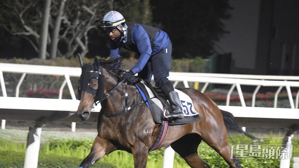 「發財金戈」過終點後繼續想衝，前所未見吸引。