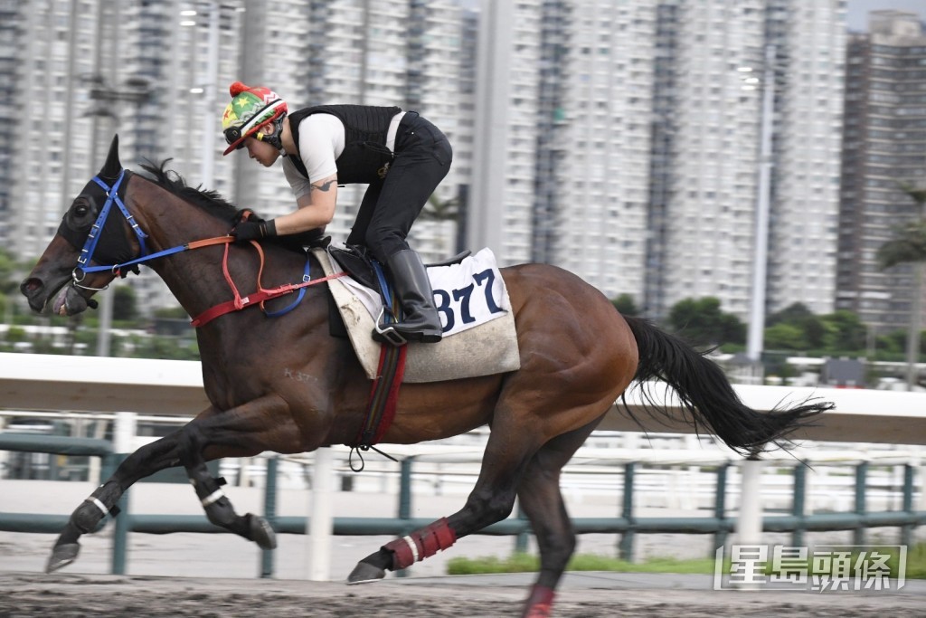 「不勞而獲」 「不勞而獲」