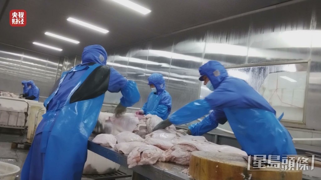 央視記者暗訪工場，發現有企業使用槽頭肉取代五花肉製作梅菜扣肉。 央視網截圖