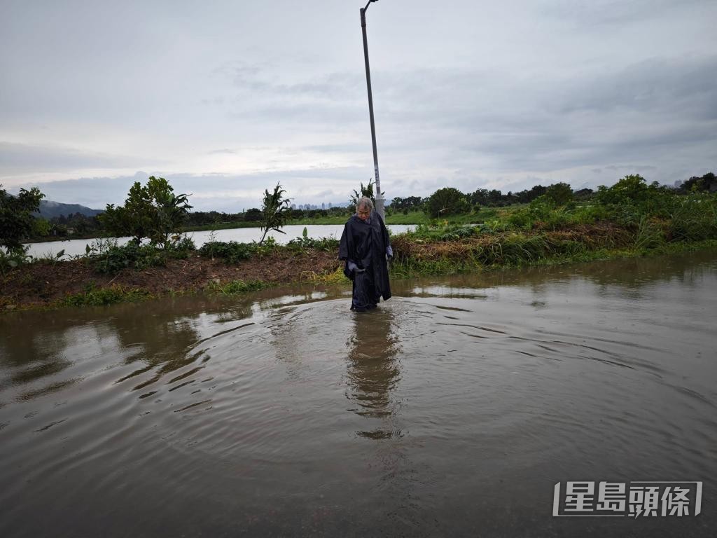 2023年「世紀黑雨」期間,有米埔魚塘溢水。 受訪者提供 2023年「世紀黑雨」期間,有米埔魚塘溢水。 受訪者提供