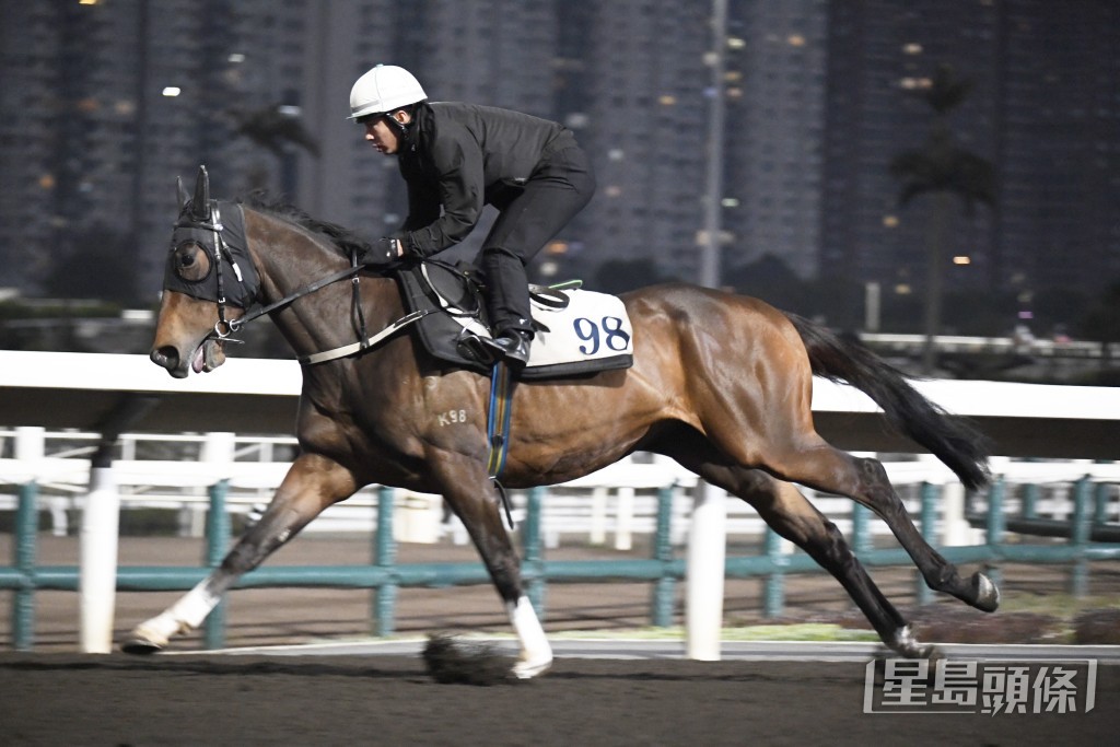 「火焰閃爍」神情專注步伐穩健，狀態一直出色。