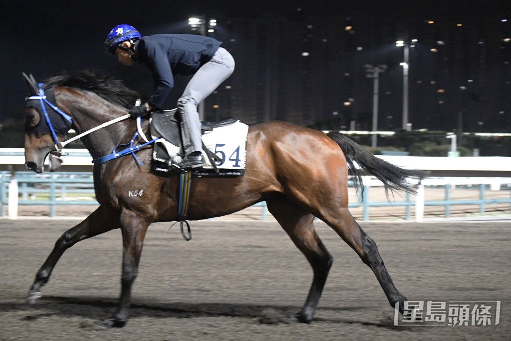 「滿心星」肌肉結實馬身仍壯，觀感不遜勝時。