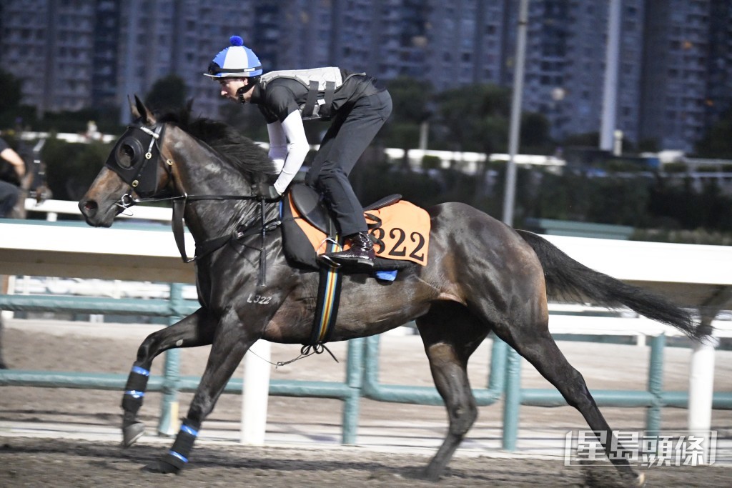 「喜悅歡欣」上季尾初出即勝，再出負重磅亦跑得好，四班必屬過客身份。