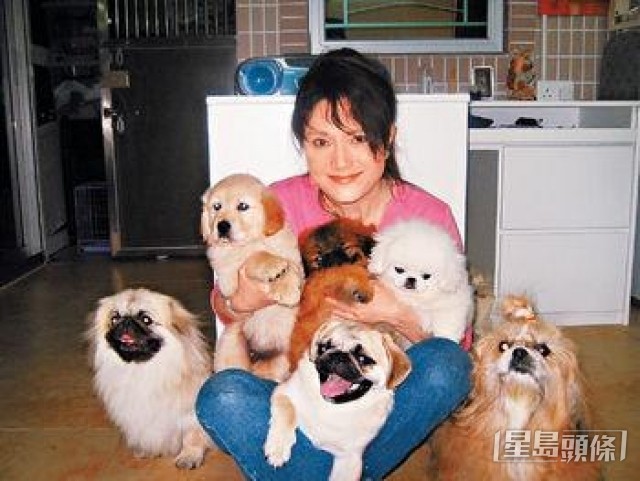 李家鼎仲好關心已故前妻。