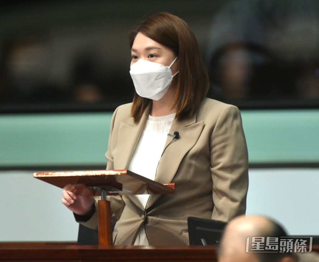 新界東南立法會議員林素蔚。資料圖片