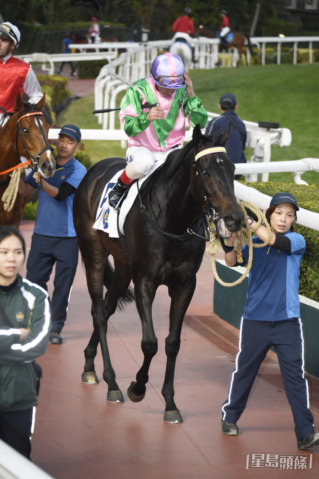 「友莹光」于今季第二次上阵取得亚军。