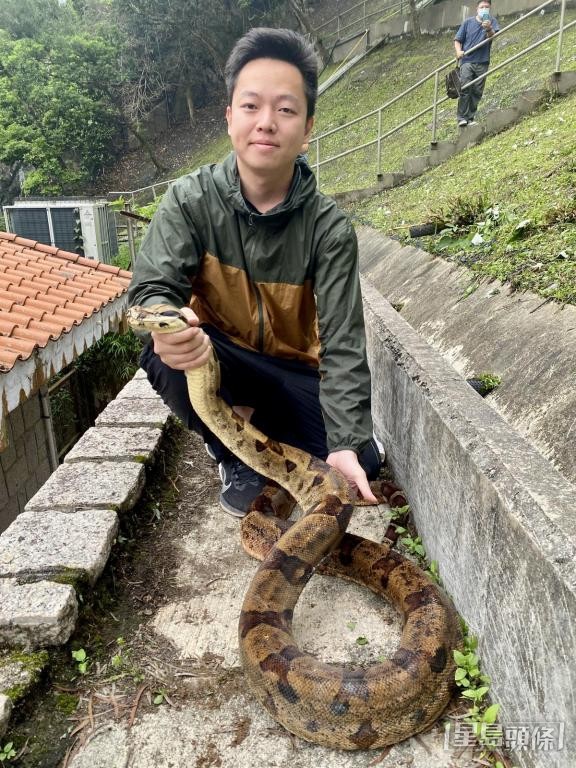 李詠豪稱,立志捉蛇是為放生,喜見近年市民對蛇類保育意識提高。 受訪者提供 李詠豪稱,立志捉蛇是為放生,喜見近年市民對蛇類保育意識提高。 受訪者提供