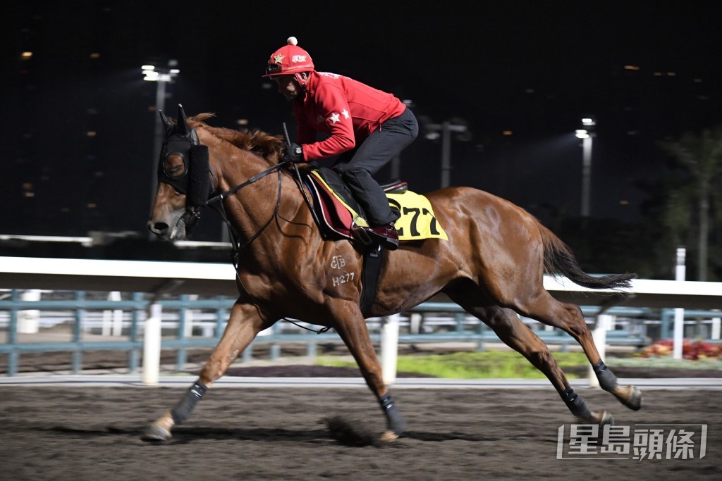 「新幹線」出腳步勁有火有力，論態持續見好。