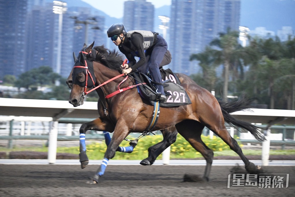 「追風」步輕彈力十足，今季最弗一次。