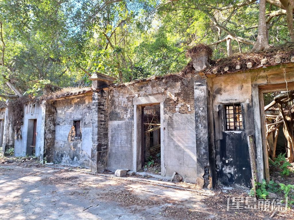 温華容重回位於榕樹凹的舊居，屋頂已遭樹木貫穿。