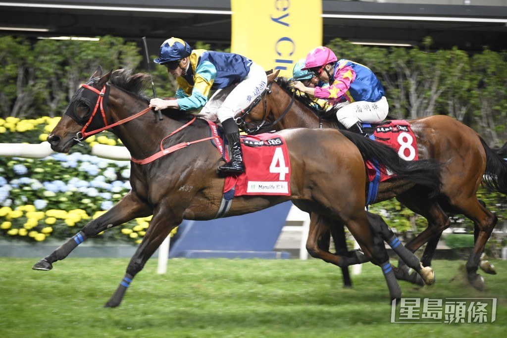 「有财有势」上季曾在艾兆礼胯下赢出两场头马。