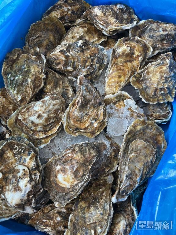 「香港生蠔關注組」店主慶幸暫未受到食安風波影響。 受訪者提供