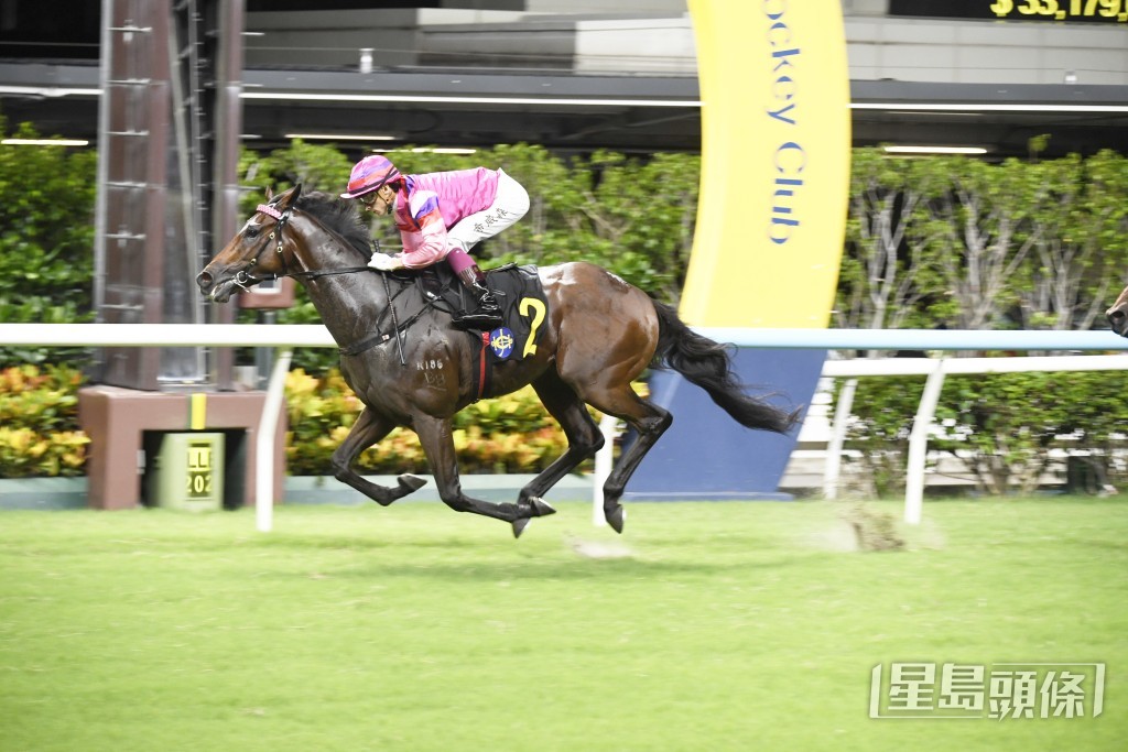 「蓮冠皇」上季尾和今季初出均在谷草千二米贏馬。