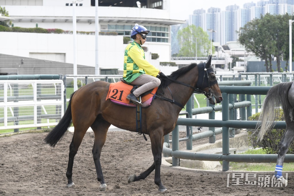 「傑出雷霆」馬身札實外觀對辦，保持理想進度。